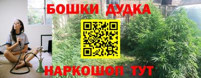 spice Камышлов