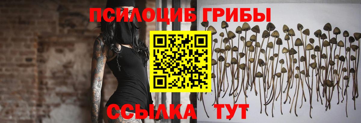 Псилоцибиновые грибы MAGIC MUSHROOMS Выборг