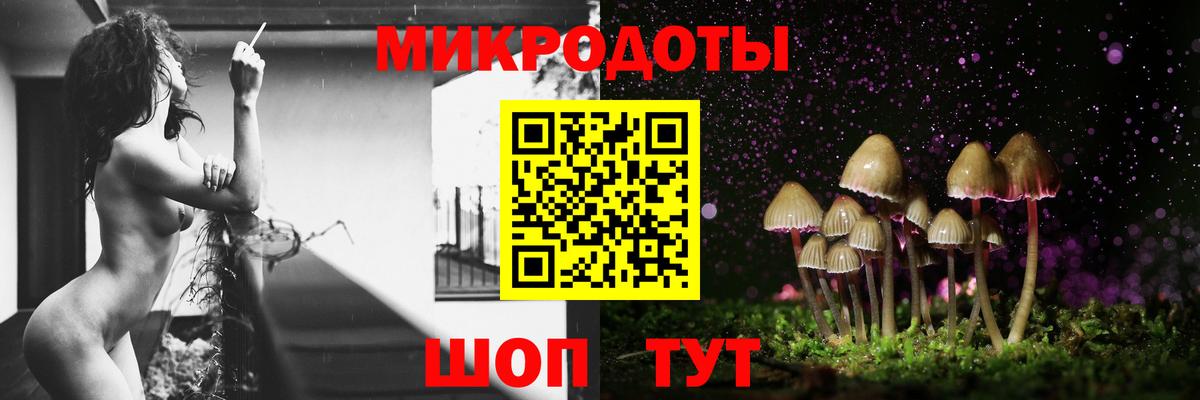 Выборг  Галлюциногенные грибы GOLDEN TEACHER  Вход с VPN 