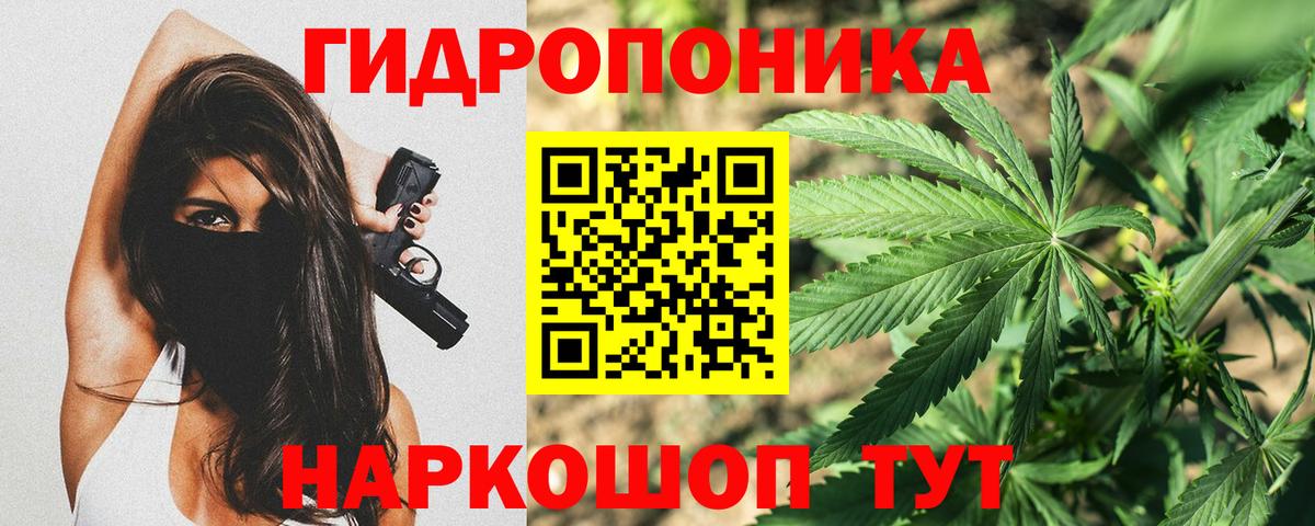 Конопля гибрид  Вход с VPN  Канабис AK-47  Каннабис White Widow  Выборг  Марихуана семена 